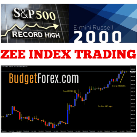 ZEE INDEX TRADING