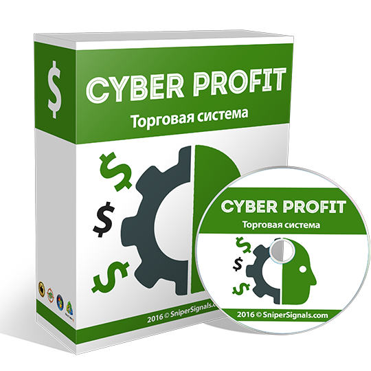 Cyber Profit