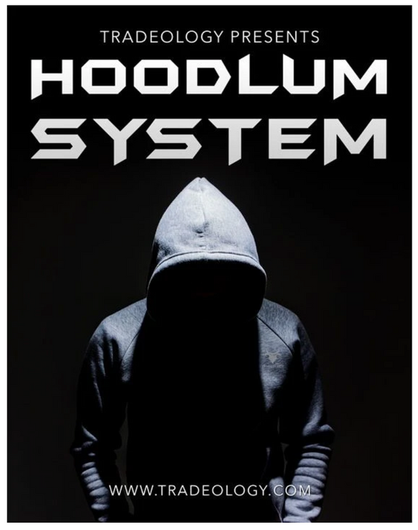 HOODLUM SYSTEM