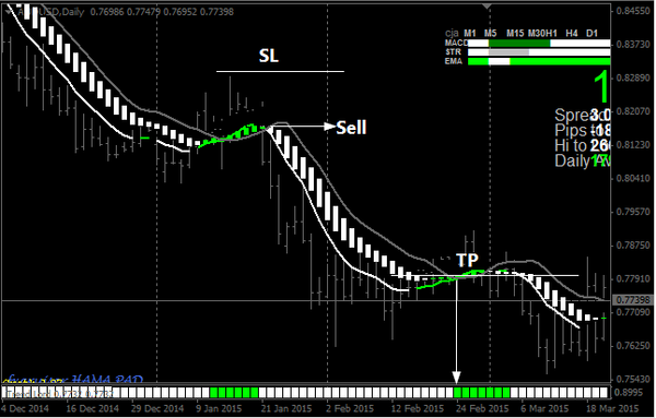 Green Renko System Forex Indicator