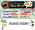 BAR IPRO V9.1(Unlimited Version)